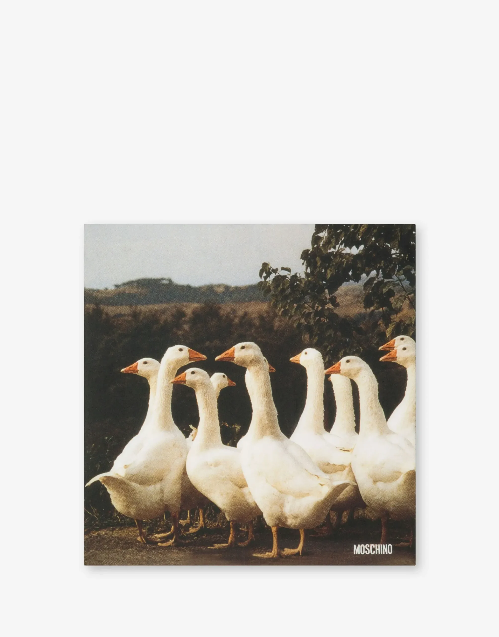 Moschino Scarves & Foulard^Goose Print Silk Scarf